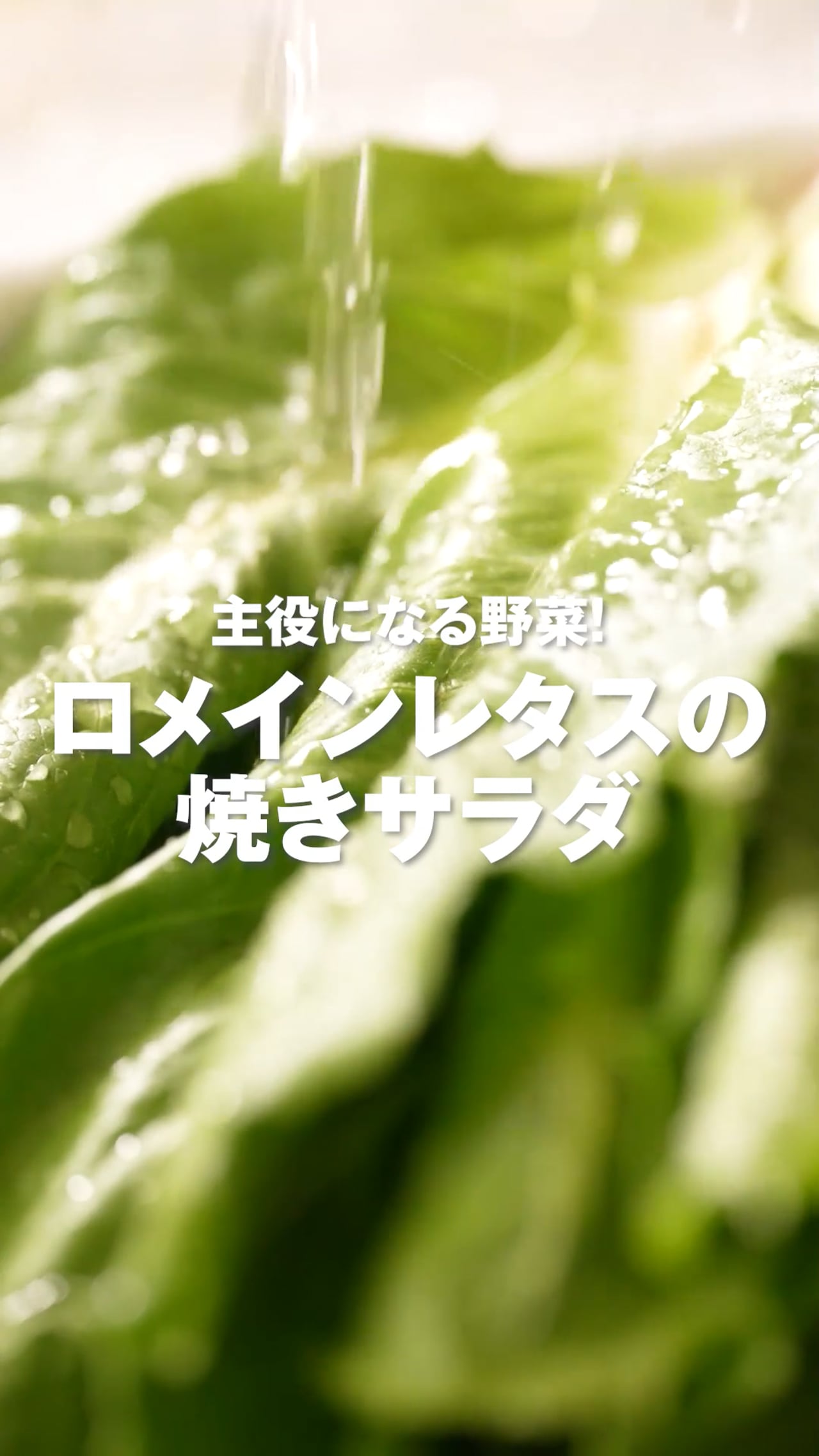 ロメインレタスの焼きサラダ